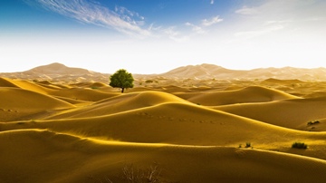 Rub' al Khali desert on the border of Oman and the Emirate of Dubai