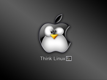 Think linux 1024-768