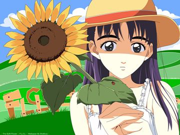 [AnimePaper]Sun Flower by Shellova 1600x1200