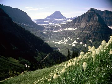 Mount Reynolds, Glacier National Park, Montana, USA