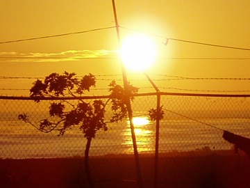 MT-Yellow Sunset