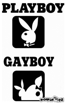 (h) playboy a gayboy