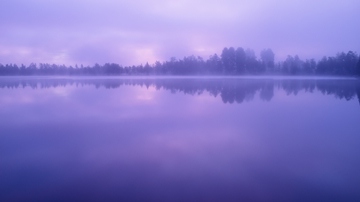 Violet lake