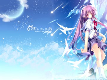 [AnimePaper]Walk in the sky by zaira (e)