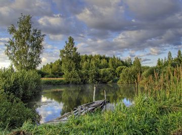 forest lake with jetty near Basova, Nekrasovsky District, Yaroslavl Oblast, Russia