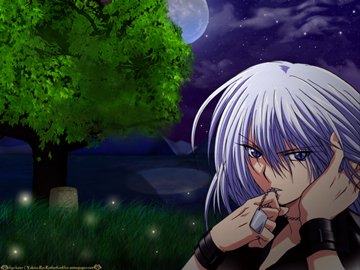 [AnimePaper]Nostalgia by fye-lover 1600x1200