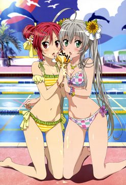 (e) nyaruko-san two beach girls