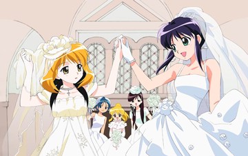 2 Maids and one Wedding (Mahoromatic)