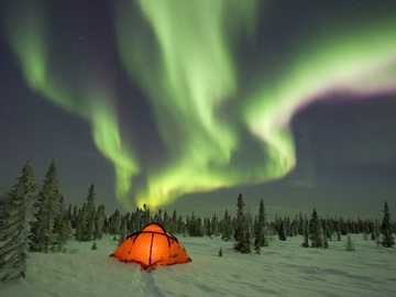 66 aurora borealis, tent