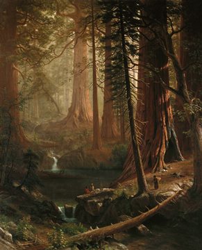 Albert Bierstadt - Giant Redwood Trees of California