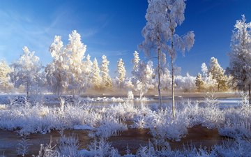 (z) Winter in Dalarna, Sweden