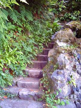 garden stairs between rocks