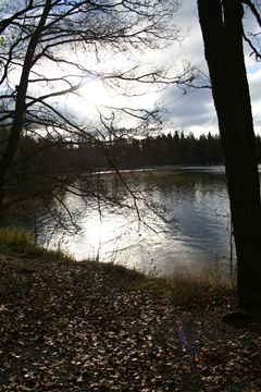 view at a lake