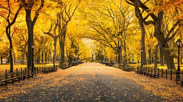 Central Park, Manhattan, New York, USA