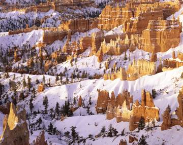 Navajo Trail area from Sunrise Point, Bryce Canyon NP, Utah, USA