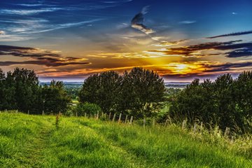 grassy path by a boundary in the evening (HDR)