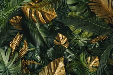 dark green & golden tropical leaves