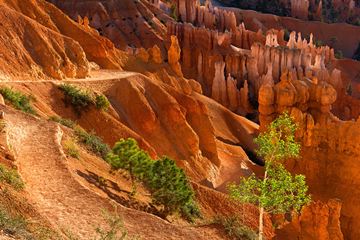 Navajo Loop, Bryce Canyon, Utah, USA