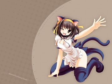 1167198428768 Haruhi catgirl