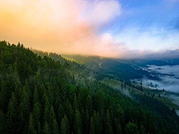 Bilbor, Romania