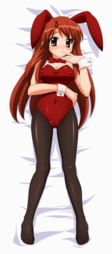 (e) Mikuru in a bunnysuit reclining (dakimakura)