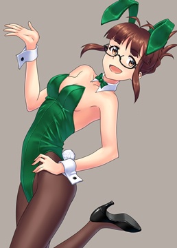 (e) akizuki ritsuko bunnygirl